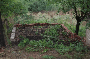 Avant : le champs de pommes de terre cultivé en Avril 2015