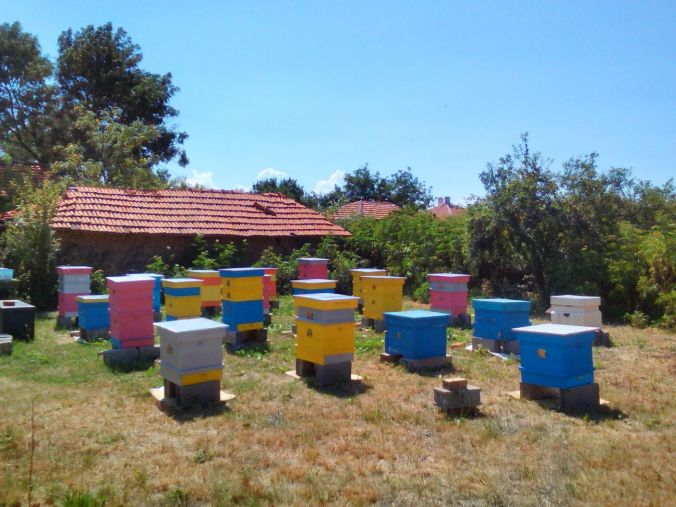 2017-07-20-PHOTO-00000026