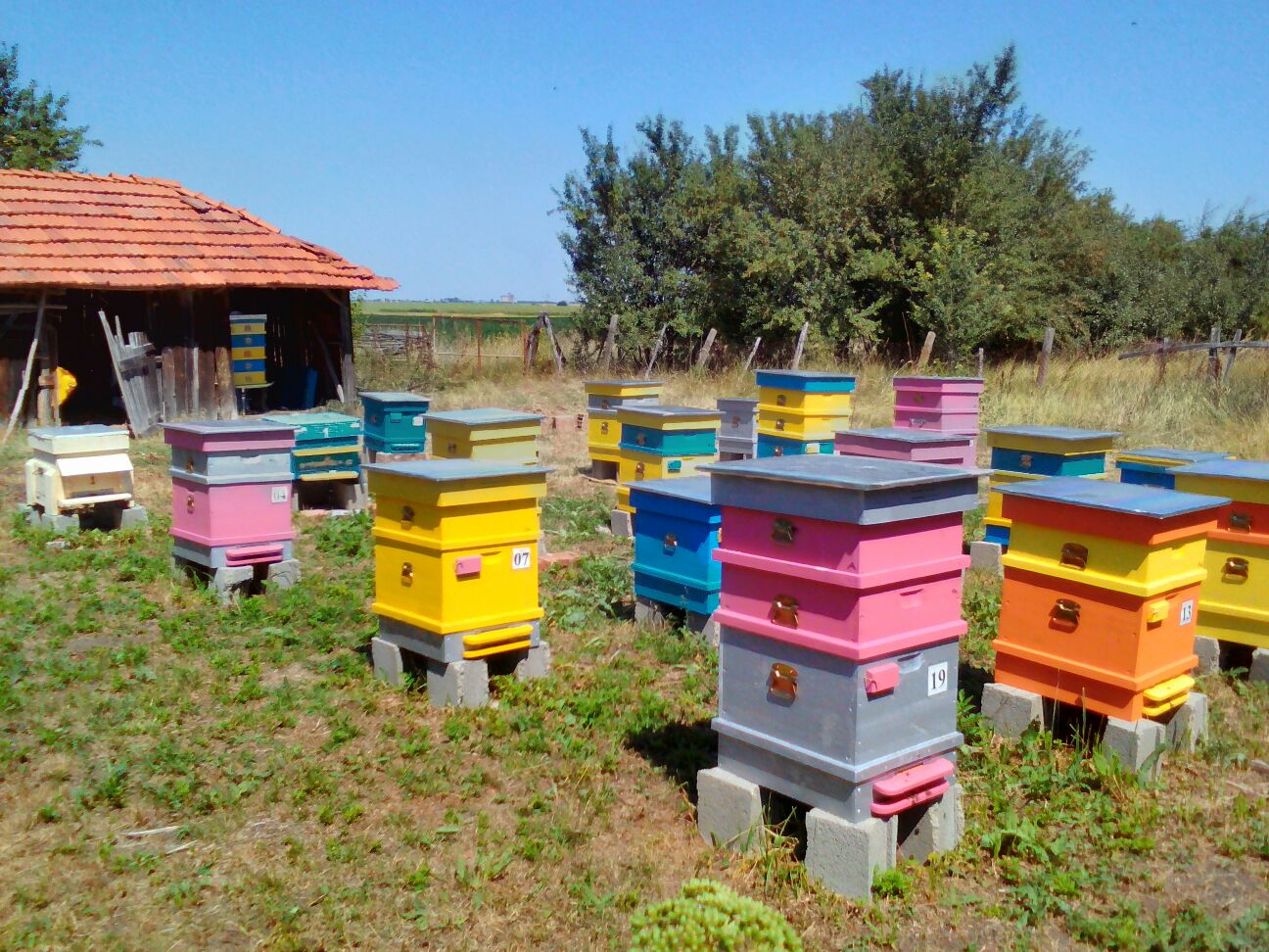 2017-07-20-PHOTO-00000027