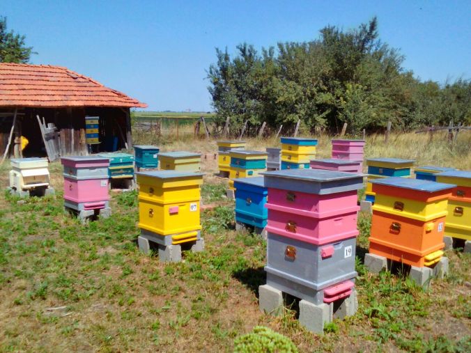 2017-07-20-PHOTO-00000027